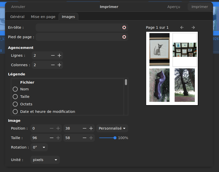 file-R017e806e8e4302fabd1717405a7e7e7e