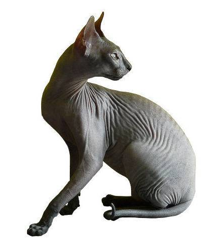 file-R2f05168272297fb63ffaa4b4b79510c0