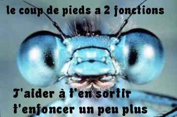 file-R5a447de8cfe9ee3c1fbcc273837bd69c