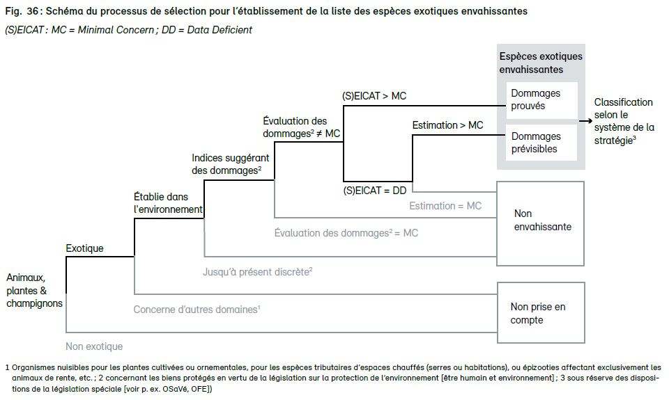 Fig. 36 Pubblication UFAM 2022