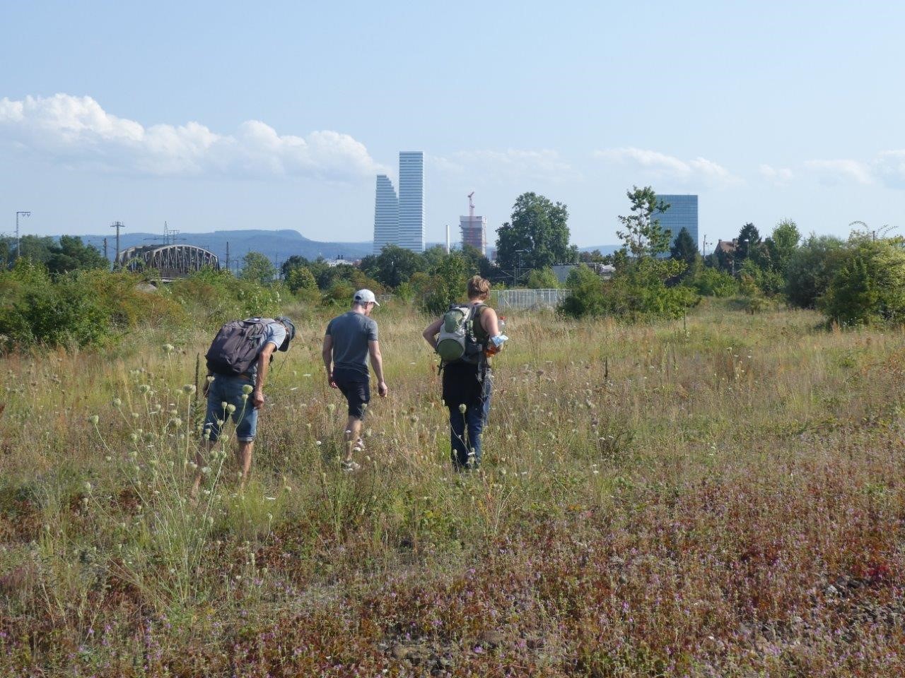 Pflanzenbegeisterte im Rahmen der «Flora beider Basel» auf der Spur nach botanischen Läckerli
